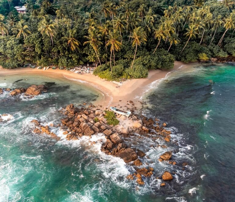 Things To Do In Bentota