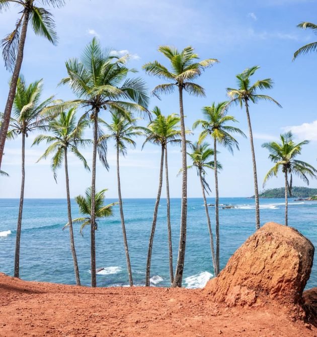 famous-coconut-tree-hill-in-mirissa-sri-lanka-bea-2025-03-06-15-59-01-utc