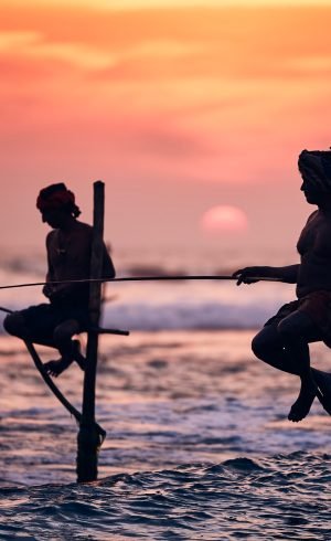 Traditional stilt fishing in Sri Lanka